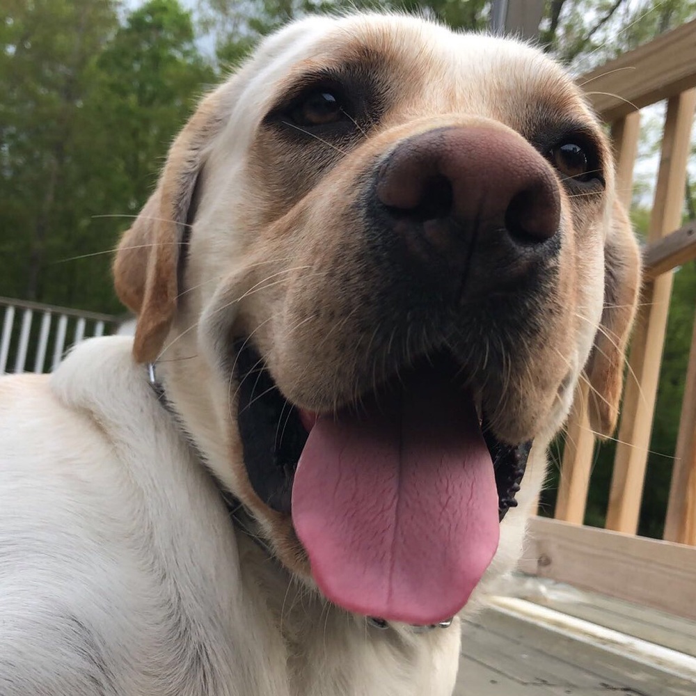 Meet your Posher, Aleeza